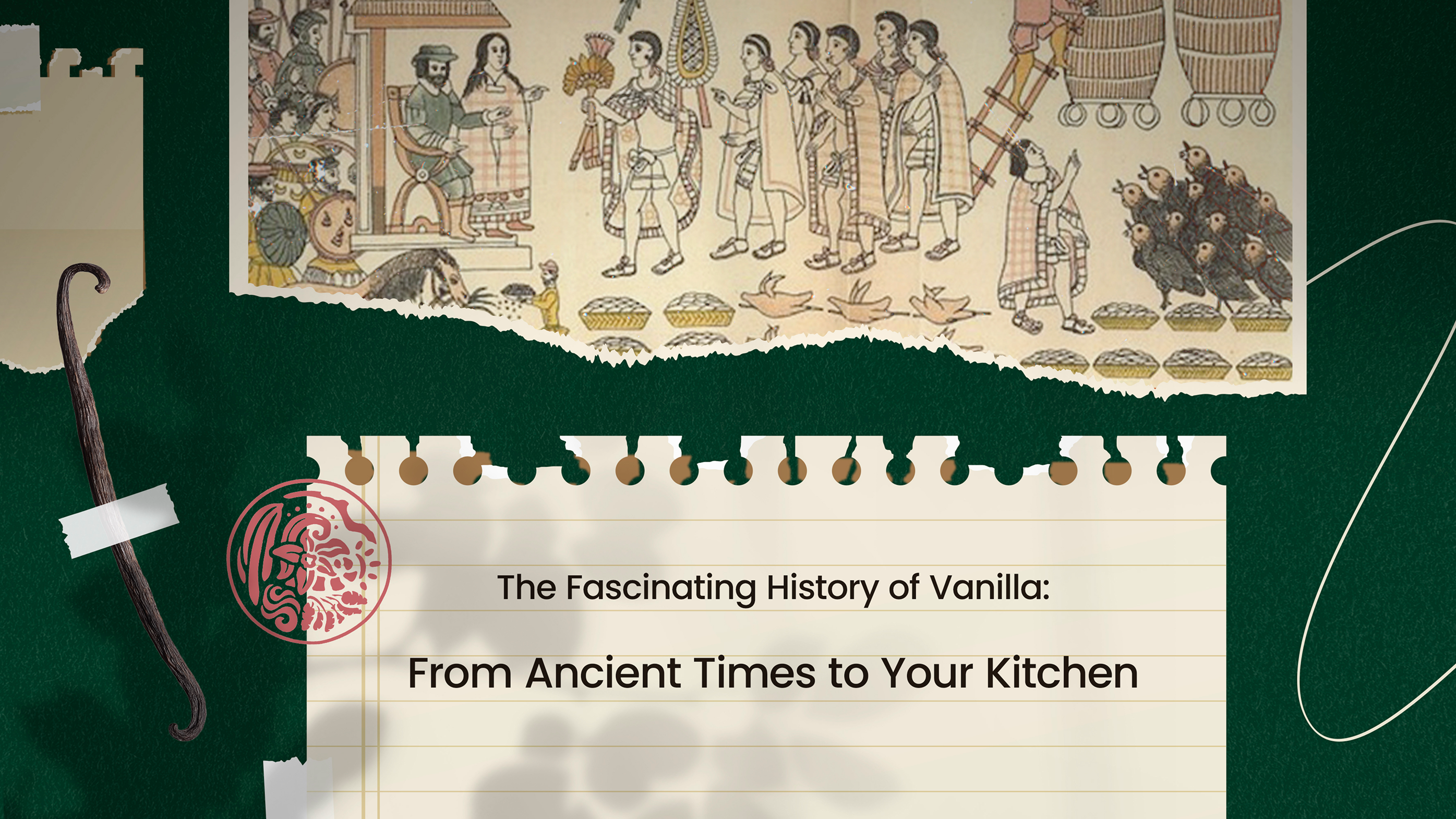 The Fascinating History of Vanilla: From Ancient Times to Your Kitchen