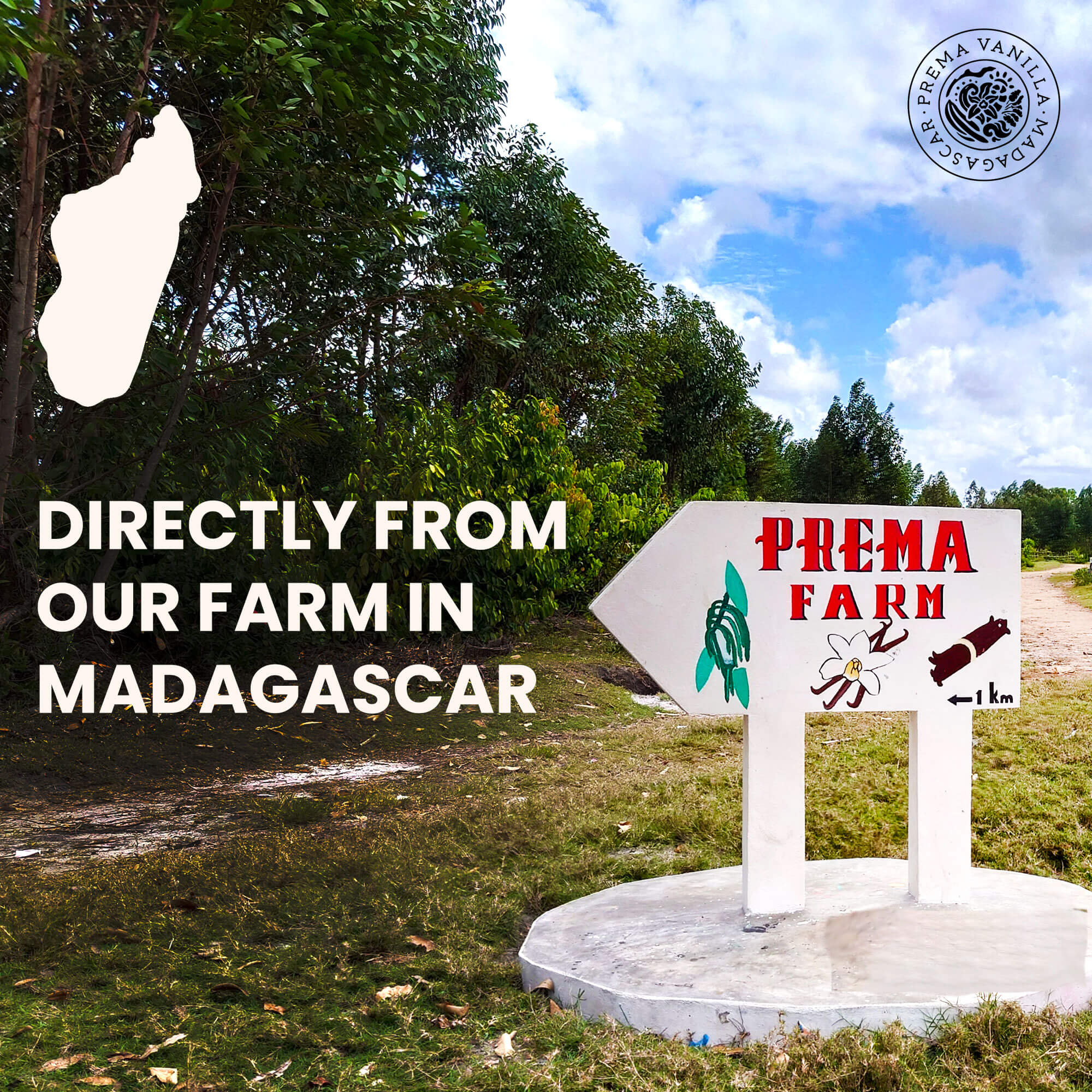 Pure Ground Madagascar Bourbon Vanilla Powder