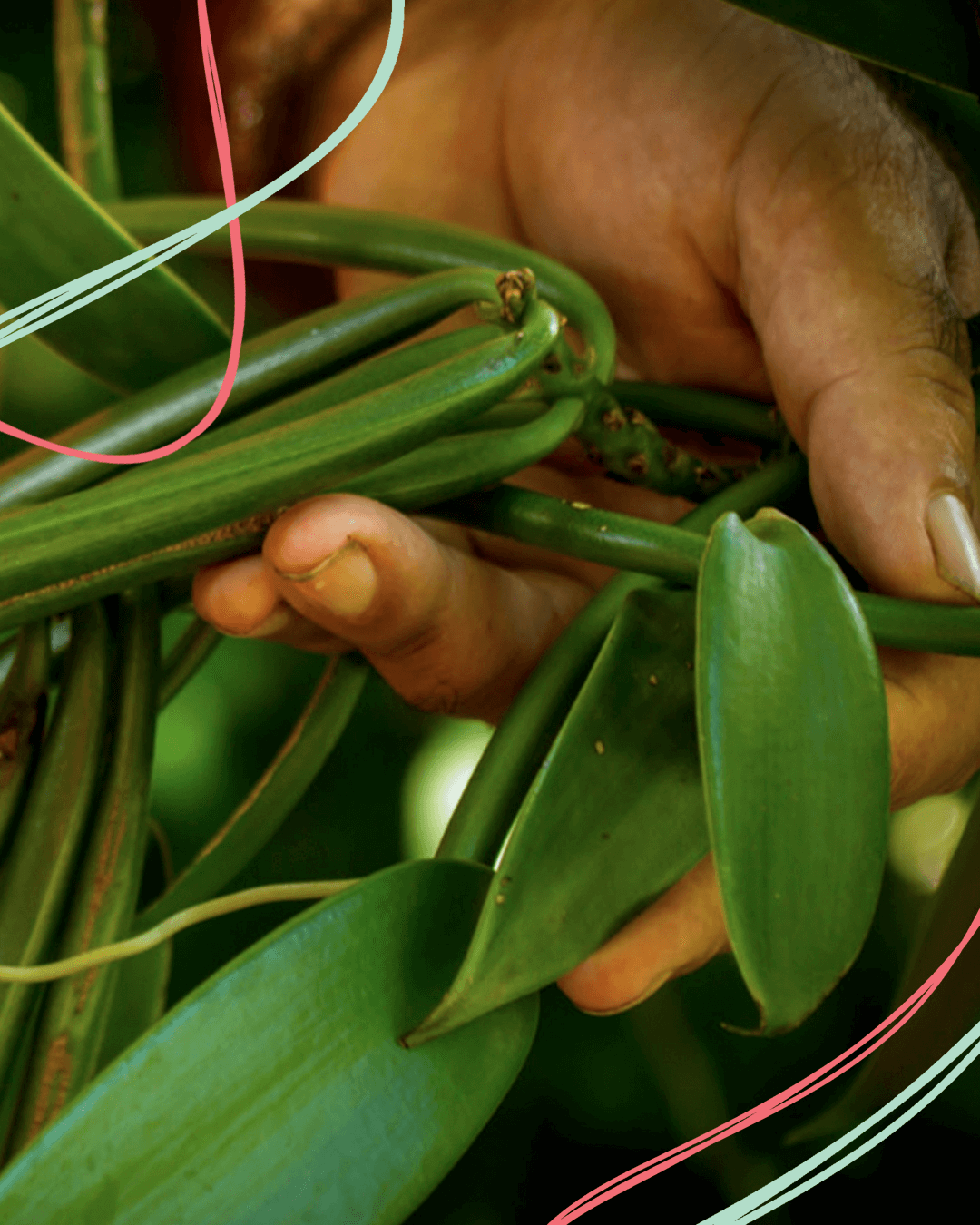Sustainable Growing Practices